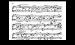 R. Schumann: Novellette in D-Dur, op. 21 Nr. 2